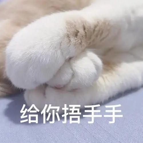 想给这个猫猫脚照片做表情包配什么文字好呢
