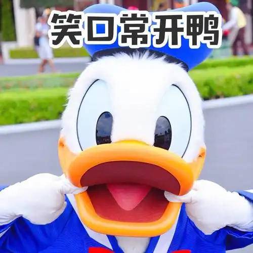 笑口常开鸭要像唐老鸭一样笑口常开鸭唐老鸭表情