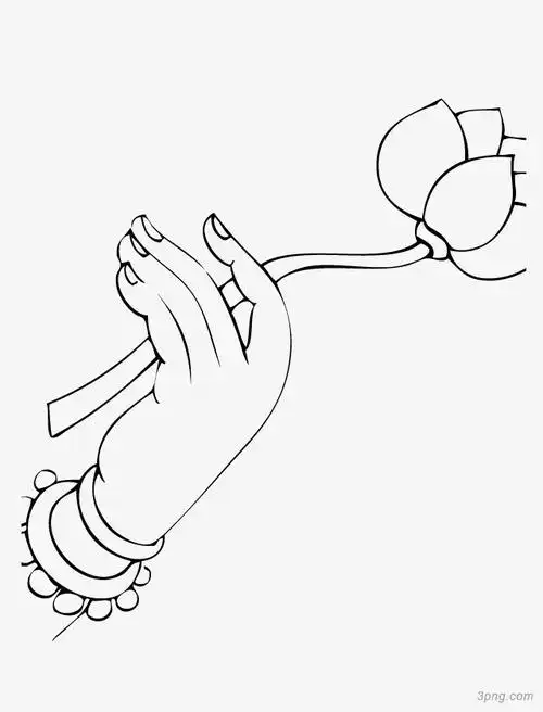 佛手莲花免扣佛教手势观音手佛手鹅肝酱佛手茄瓜佛手插图本站所有作品