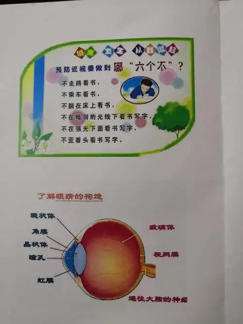 但我们还是了解了一些关于眼睛和保护眼睛的小知识哦!