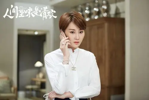 佟大为,陈乔恩,林鹏等演员主演的全景式都市爱情喜剧《人间至味是清欢