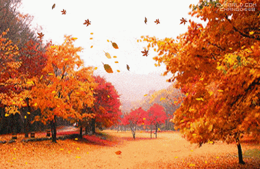 400_260gif 动态图 动图