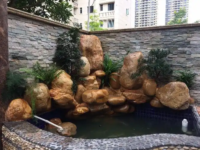 梅州假山园鱼池园艺