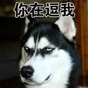 你在逗我(二哈表情包)_二哈_逗我表情