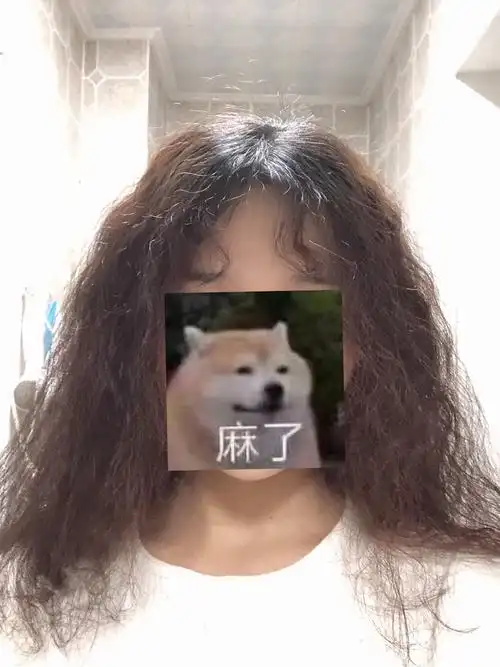 羊毛卷失败后的我当场变成步惊云