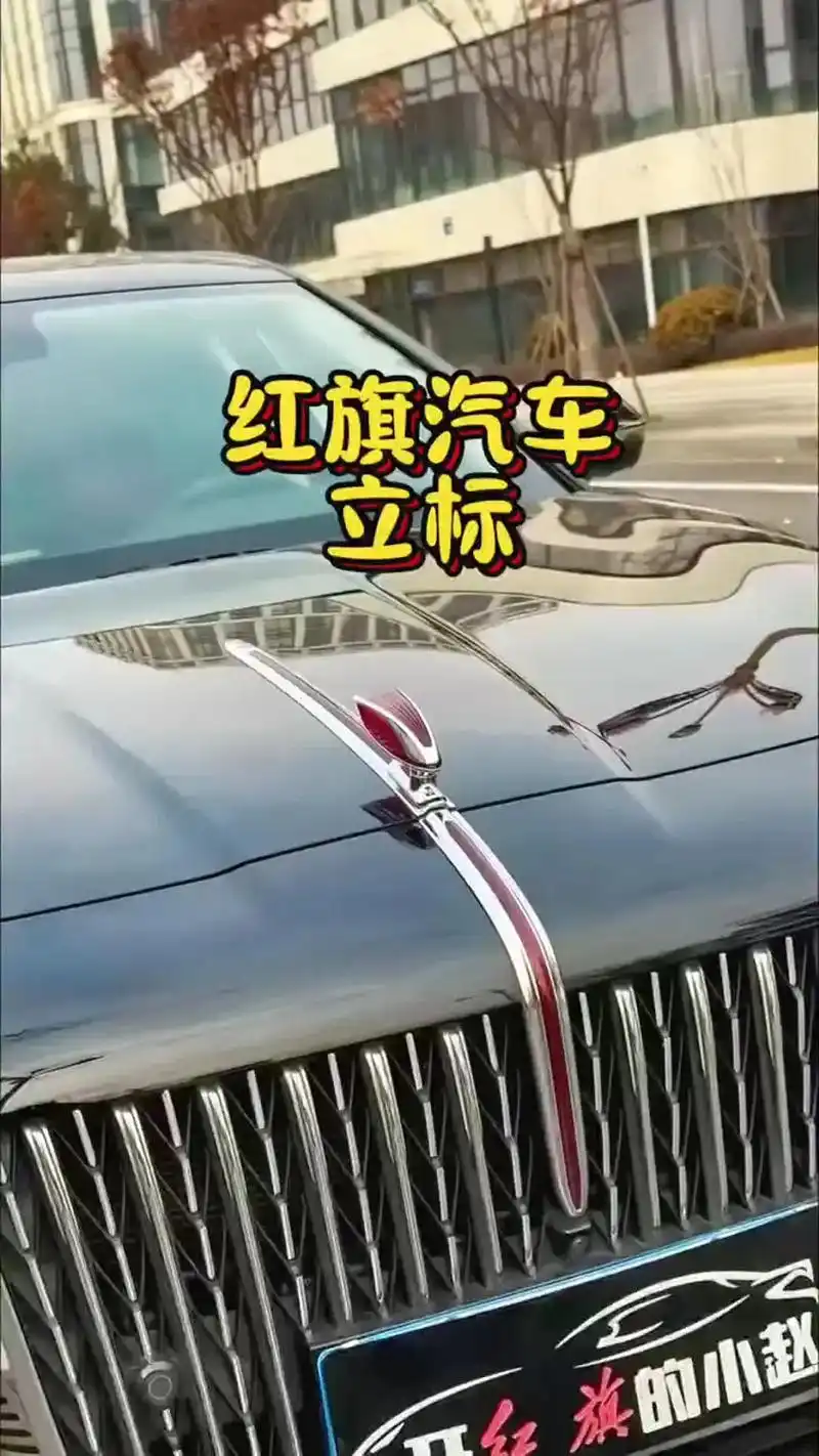 红旗l车标机盖标立标hs7hs5ehs9h6h5立体车标贴h