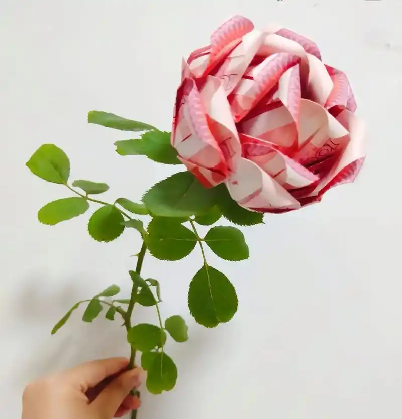 鲜花95是诗和远方,钞票是现实和当下,给自己个仪式感,百元大 - 抖音