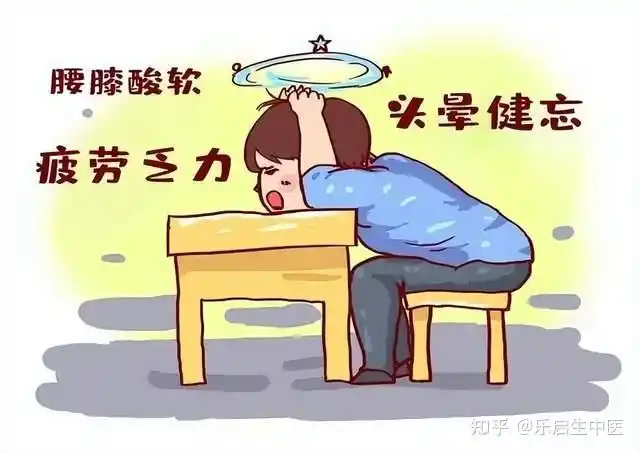 在祖国医学中,"总是疲惫乏力"被归入到"虚劳"中,历代医家临床实践总结