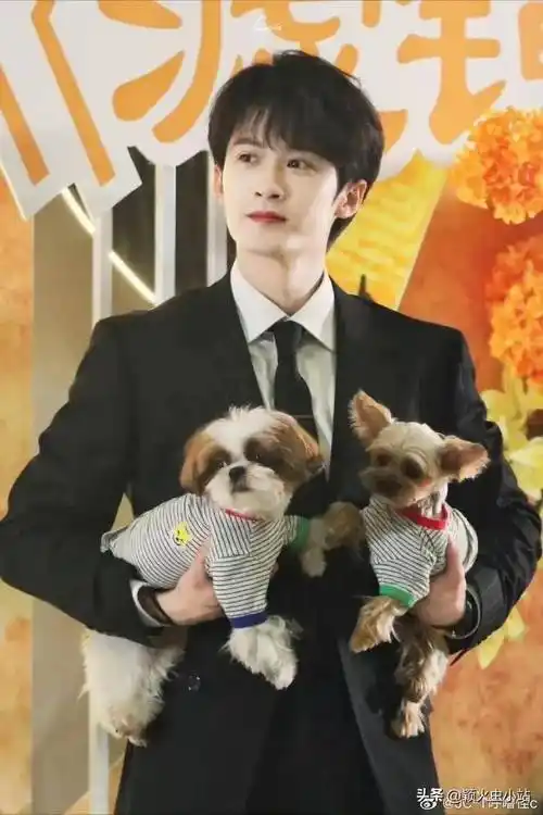 原创325娱乐瓜肖战王一博李现龚俊檀健次唐嫣谭松韵许凯李沁刘学义