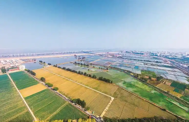 项目位于泉州湾桥头片区,紧邻泉州湾跨海大桥,以蚶江湿地公园为核心区