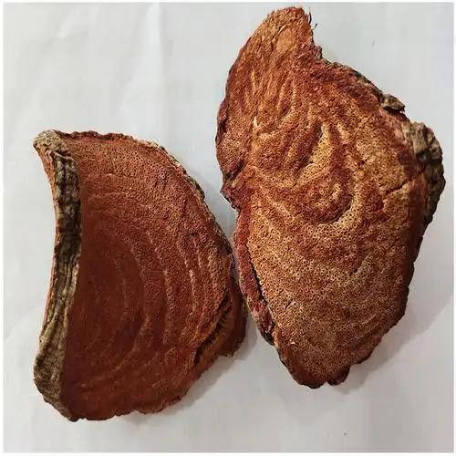 过江龙片 过岗扁龙 过山龙 扭骨风 过江龙藤新货无碎粉