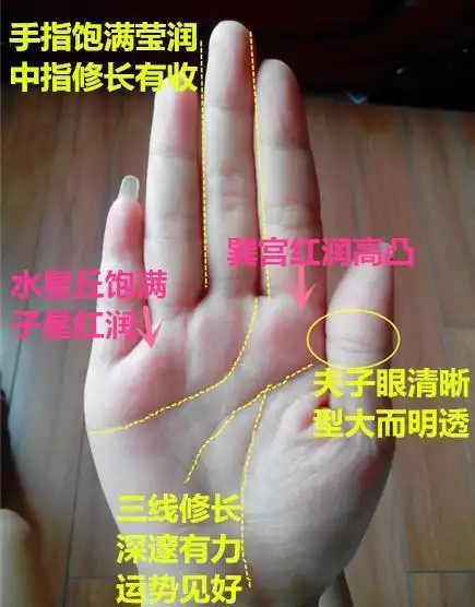 手相单个三角纹,钱财不愁,若双个三角纹,财运婚姻佳,你有吗?