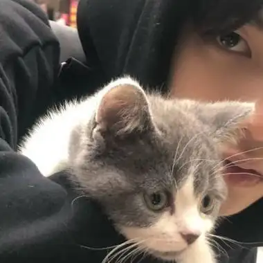 霸气冷酷小狼狗高清头像合集