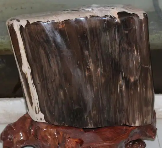 原创神奇的雷击木化石