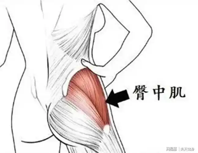 臀中肌无力导致扁平臀教你3个动作快速改善臀部线条