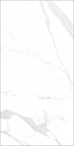 fb18005 欧普爵士白