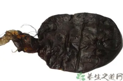 熊胆的功效与作用熊胆的药用价值