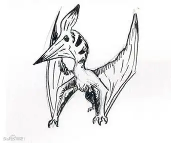 翼龙化石简笔画简单又好看