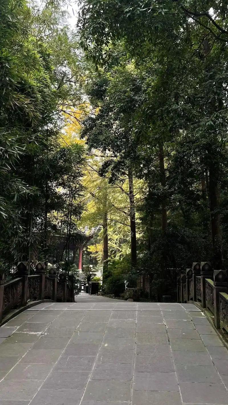 浣花溪畔 杜甫草堂.#知名景点   蓉城八年,再临草堂,草堂 - 抖音