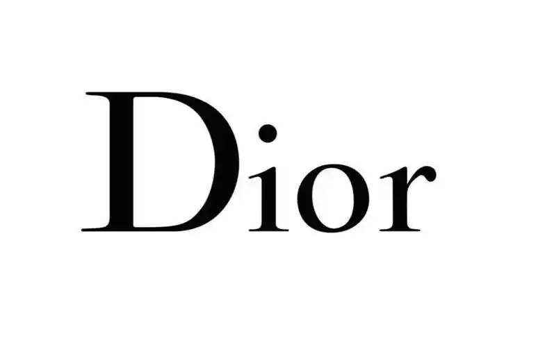 dior:用四个字母,诠释典雅与高贵_手机搜狐网