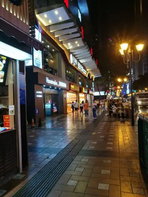 重庆的夜晚,霓虹灯闪烁,挥不走记忆的美景,来了不想走的城市