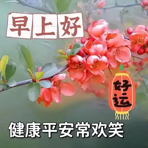 早上好,祝福,是清晨的主题;快乐,是一天的内容;健康,是一生的期盼.