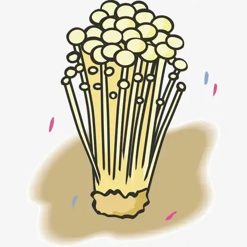 金针菇的简笔画