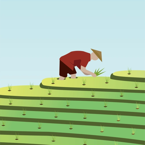 俗话讲:"春分麦起身,肥水要紧跟".一场春雨一场暖,春雨过后忙耕田.