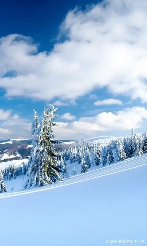 3d 高清 竖屏 手机壁纸