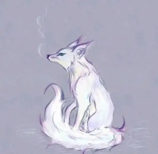 大家知道,狐狸若是想成仙,是需要长出九条尾巴的.