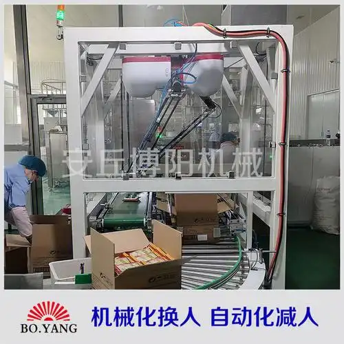 食盐机械手装箱机全自动纸箱码垛机生产线