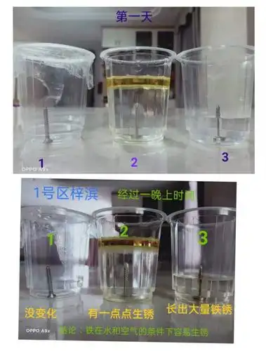 五上科学《铁生锈的条件》实验作业展