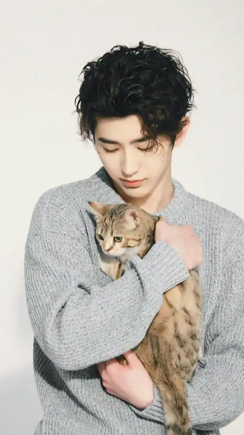 蔡徐坤 - 堆糖,美图壁纸兴趣社区