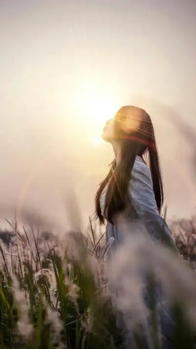 壁纸〕面朝,阳光.