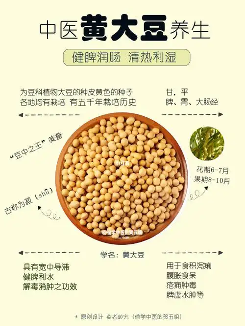 12养生课堂黄豆营养豆浆破壁机n种吃法