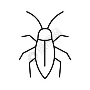 动物目蟑螂线图标细示等宽符号矢量孤立的大纲绘制插画