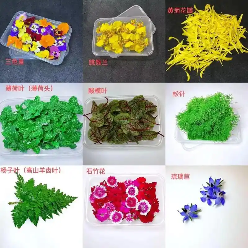 我的厨房日记 酒店常用摆盘装饰花草#美食 #抖音美食推荐官 - 兑趑