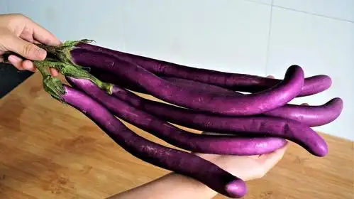 茄子最好吃的做法,简单一做,鲜嫩爽口,一上桌就光盘