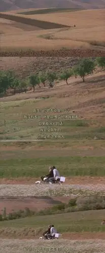 《随风而逝》:早晚有一天,风儿将把我们带走,就像一片枯叶