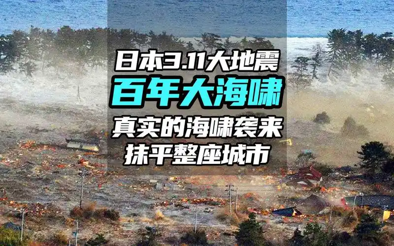 实录2011年日本大地震真实画面,城市瞬间被摧毁!