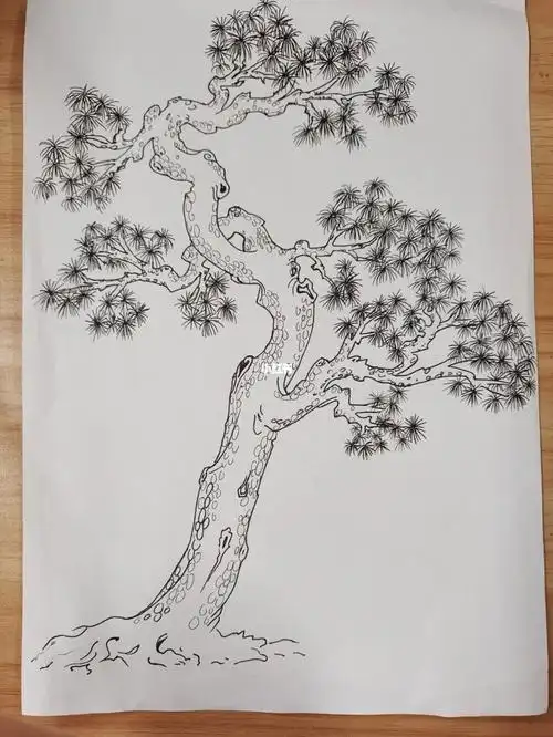 学画松树