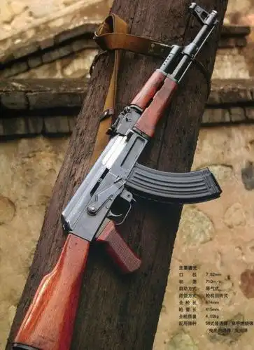 cf国产精准枪械盘点 保家卫国56式步枪测评