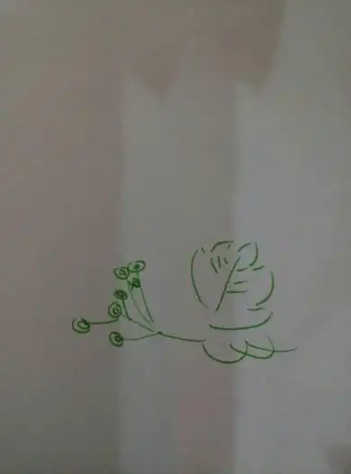 画一幅爬山虎的脚是怎样一脚一脚往上爬的图