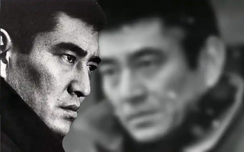 高仓健,追捕,幸福的黄手帕,新干线大爆破,远山的呼唤,海峡_哔哩哔哩