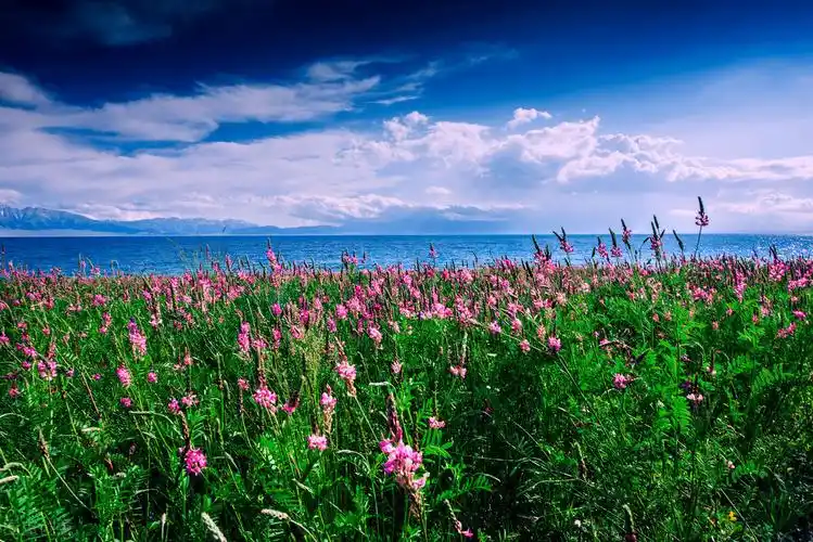 2020最火摄影地大盘点附2021全年摄影计划