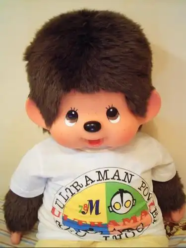 边个知边度有"蒙奇奇公仔"买哦?