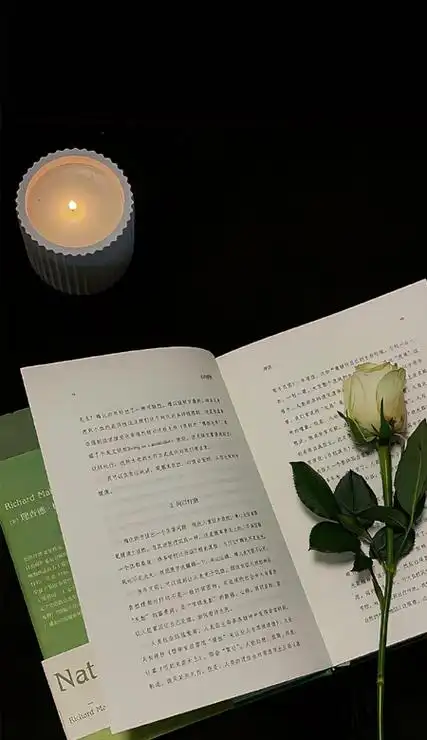 冷淡风ins暗色系锁屏壁纸超气质的壁纸心情愉悦