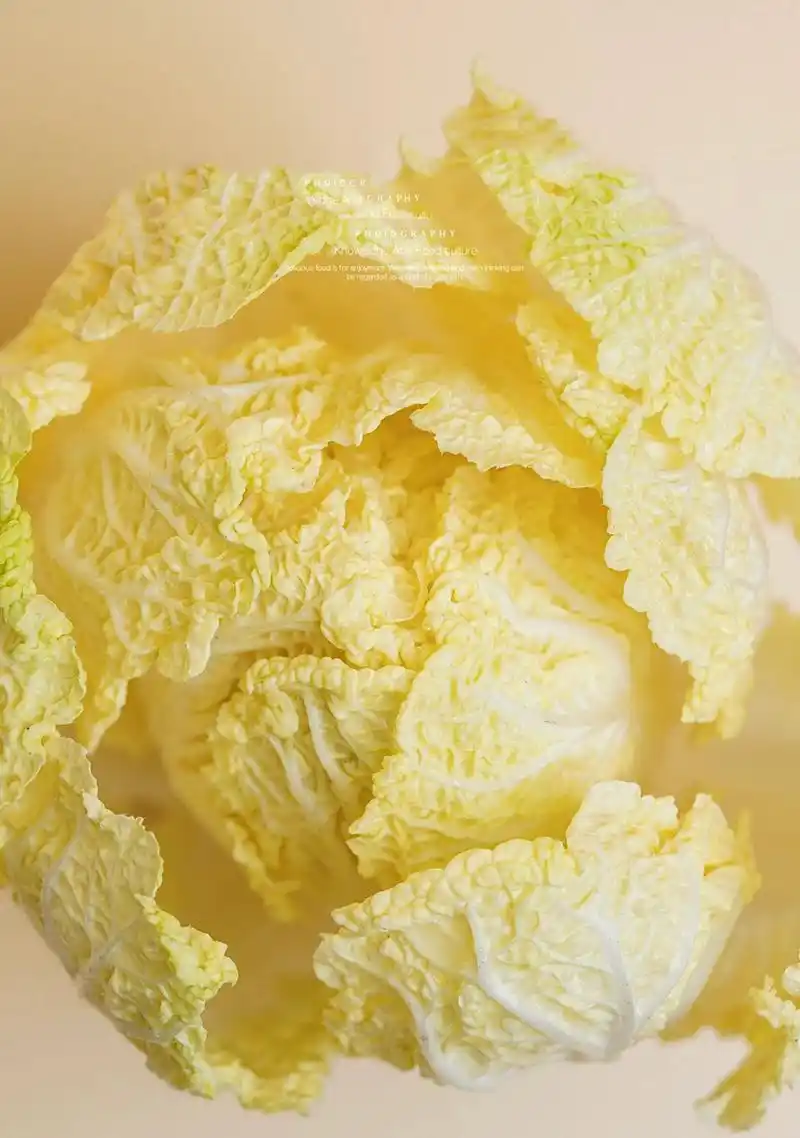 静物摄影|简约大白菜(附布光图) 如何拍出简约好看的大白菜图片,在