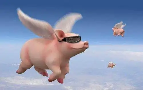 站在风口,猪也能起飞自由翱翔