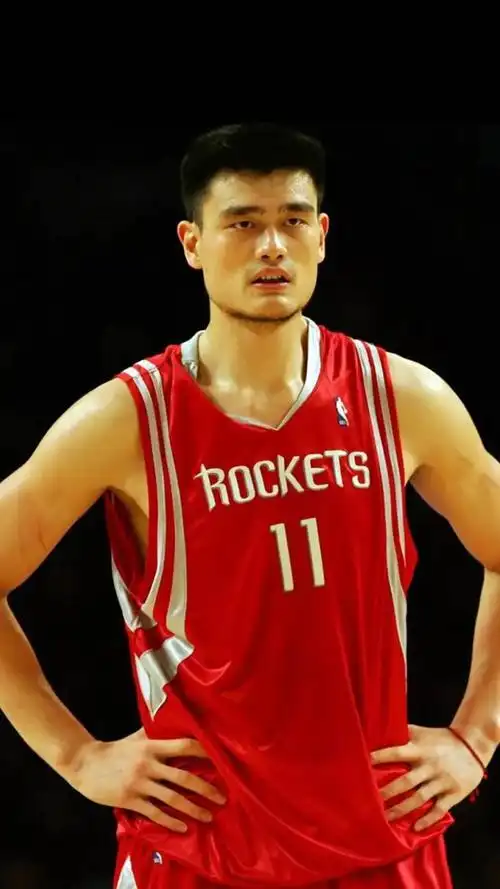 关于篮球明星姚明简历的图片及评论